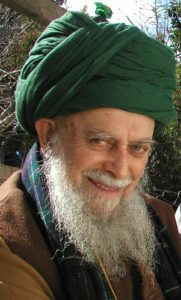Mawlana Sheikh Nazim Al Haqqani Sufismo Brasil Naqshbandi (5)